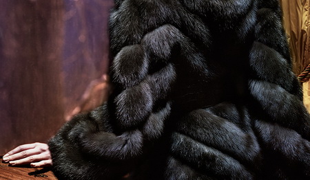 Баргузинский соболь: живое золото в вашем гардеробе